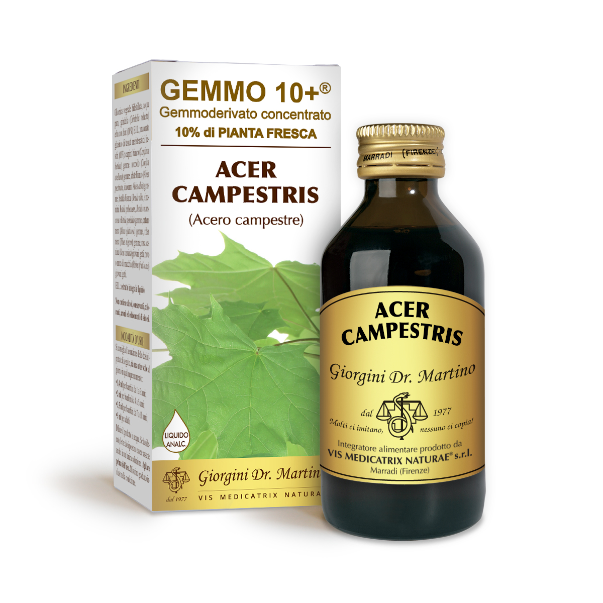 ACERO CAMPESTRE G10+ (Acer campestris)Liquido analcoolico