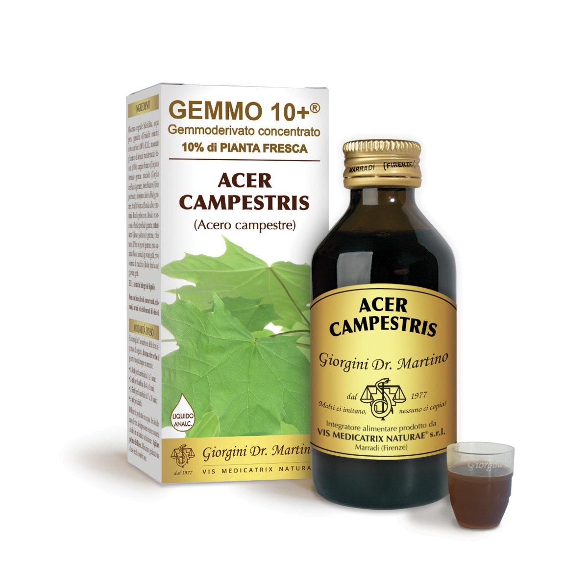 ACERO CAMPESTRE G10+ (Acer campestris) Liquido analcoolico