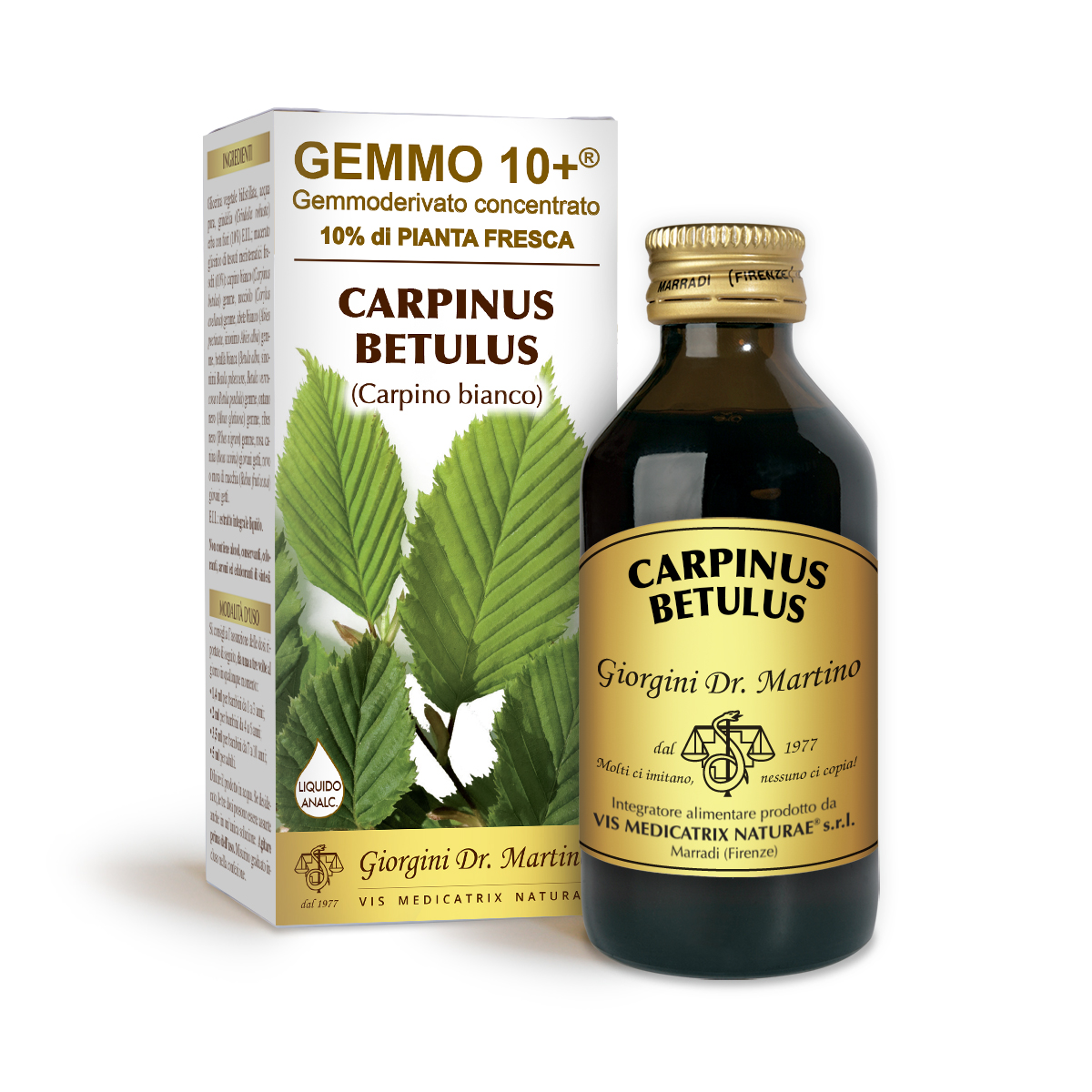 CARPINO G10+ (Carpinus betulus)Liquido analcoolico