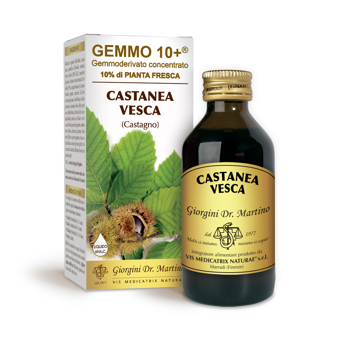 CASTAGNO G10+ (Castanea vesca)