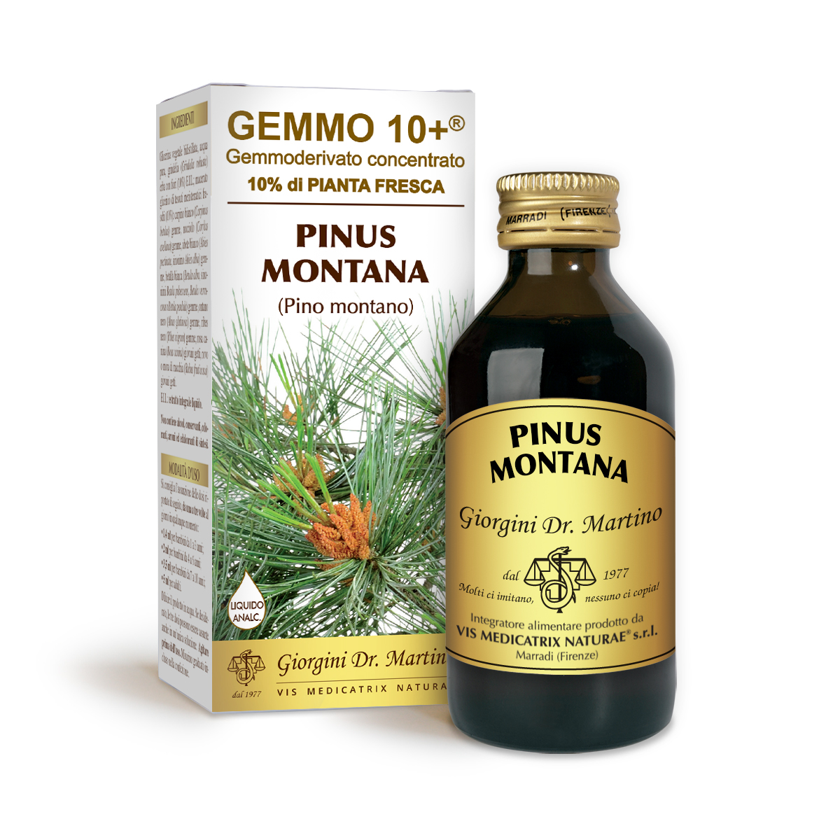 PINO MONTANO G10+ (Pinus montana) Liquido analcoolico