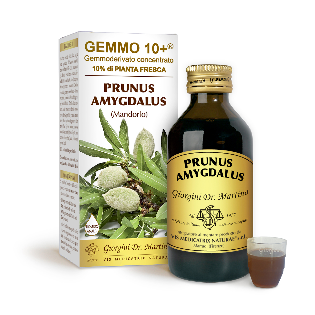 MANDORLO G10+ (Prunus amygdalus) Liquido analcoolico