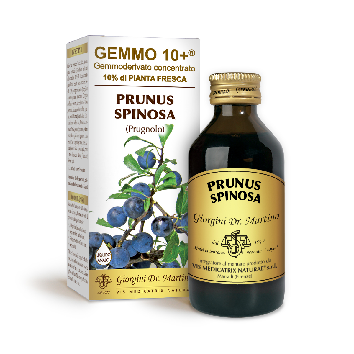 PRUGNOLO G10+ (Prunus spinosa) Liquido analcoolico