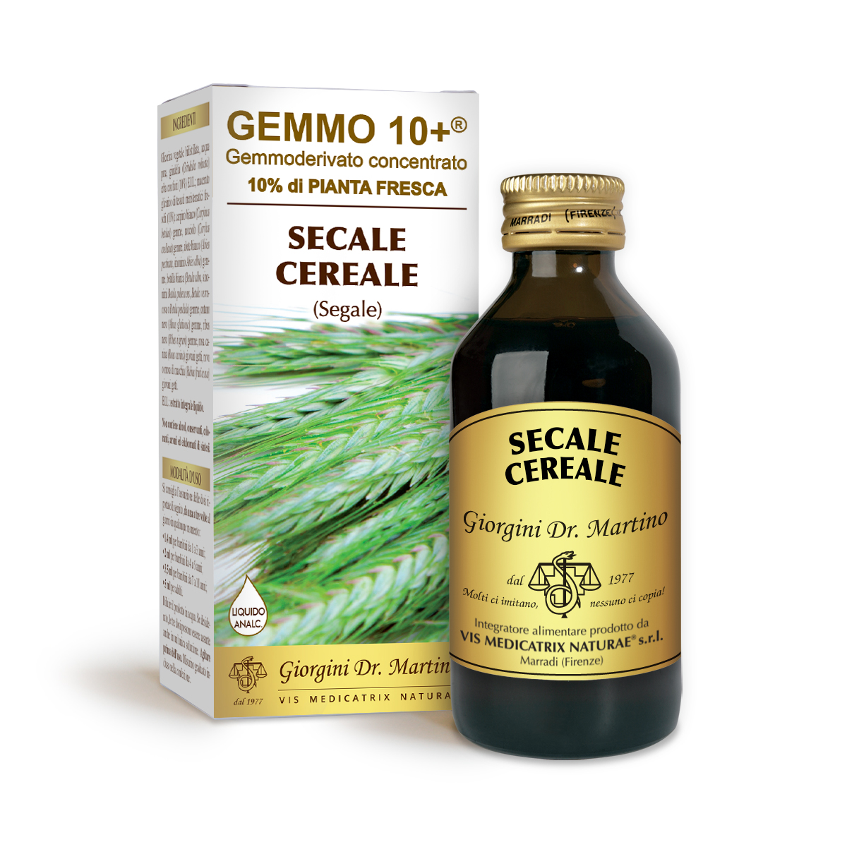 SEGALE G10+ (Secale cereale)Liquido analcoolico