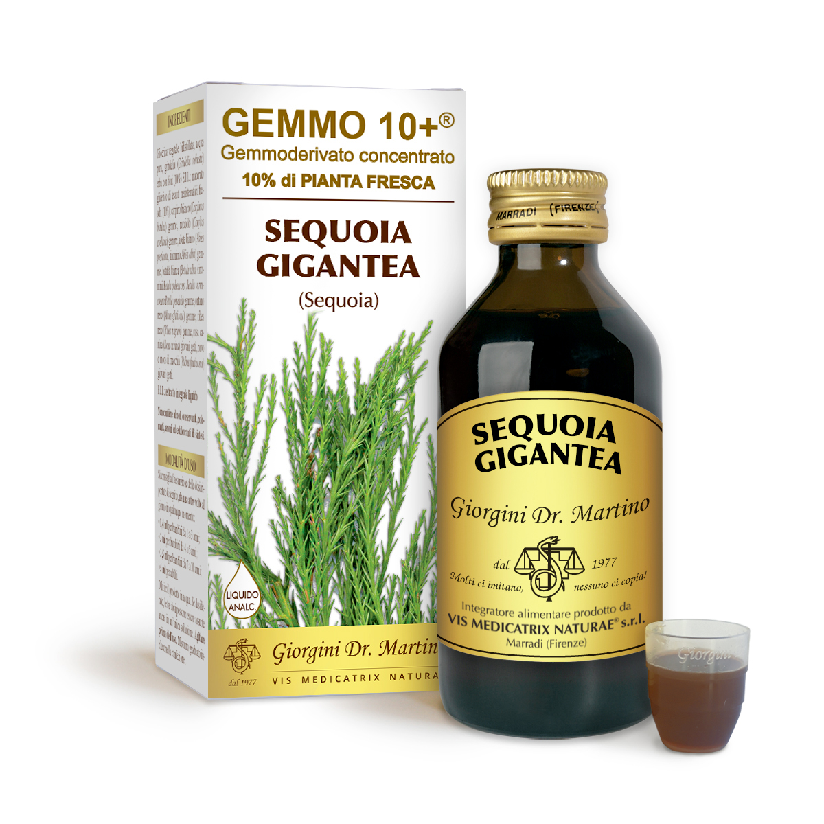 SEQUOIA G10+ (Sequoia gigantea) Liquido analcoolico