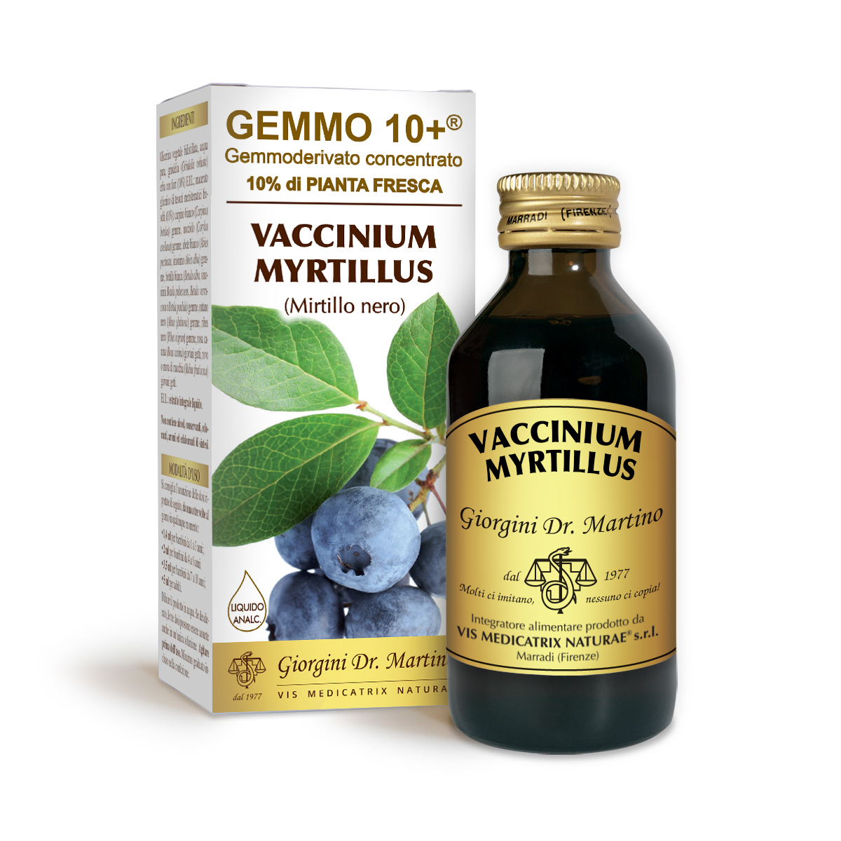 MIRTILLO NERO G10+ (Vaccinium myrtillus)
